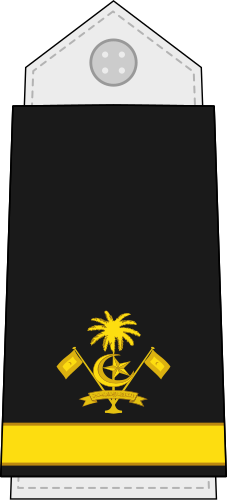 File:Maldives-Navy-OF-3.svg