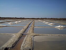 Alkimia Nature - 🌿EXFOLIANTE CORPORAL DE SAL GRIS. También conocida como sal  CÉLTICA. 🌿Es originaria de Guerande en la Bretaña Francesa. Sin refinar,  libre de productos químicos y de sintesis. 🌿Es recogida