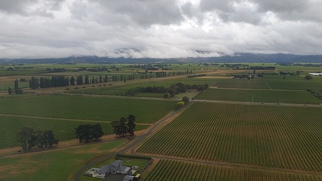 View looking north from Blenheim of Marlborough vineyards