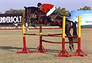 Marwari horse show jumping Jodhpur polo ground.jpg