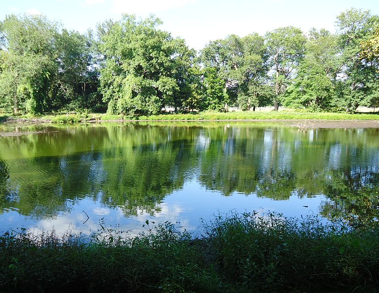 File:Meisel Ave Park Union County pond with reflections.JPG