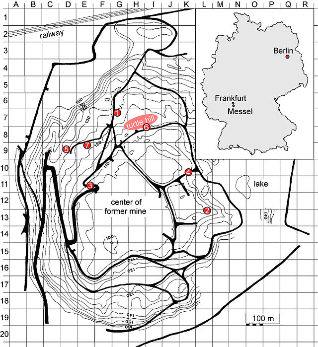 Karte der Grube Messel