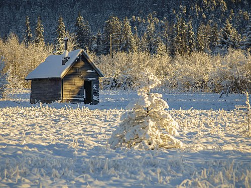 Originally built as Milk Shed for Mendenhall farmer, Juneau, Alaska