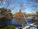 Mill Pond, Winchester MA