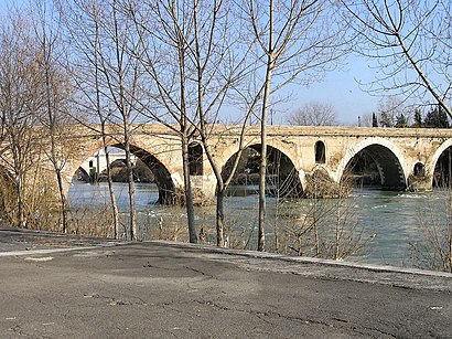 Come arrivare a Lungotevere Maresciallo Diaz con i mezzi pubblici - Informazioni sul luogo