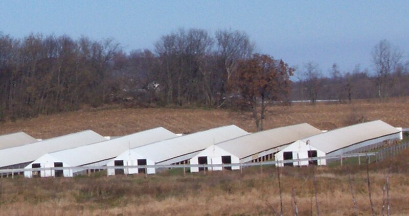 File:MinkFarmWisconsin2007.jpg