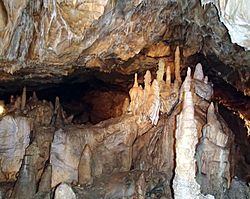 Mladečské jeskyně - NPP Třesín