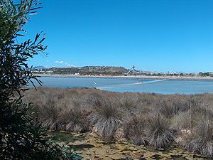 The salt pans