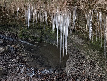 Hielo a la vera del arroyo (Buxisolo, Álava)