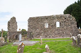 Mothel Abbey former Augustinian monastery and National Monument located in County Waterford, Ireland