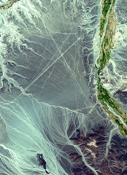 File:NEO nazca lines big.jpg
