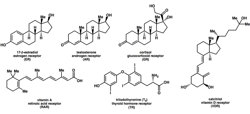 File:NR ligands.png