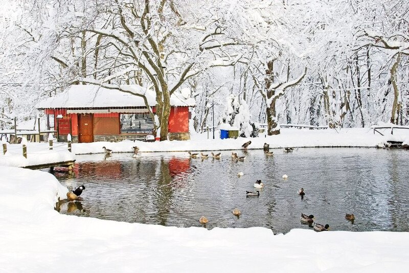 File:Naousa under snow.jpg