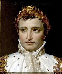 Napoleon's. Наполеон Бонапарт. Портреты Наполеона Бонапарта Давида.