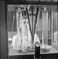 National Physical Laboratory- Science and Technology in Wartime, Teddington, Middlesex, England, UK, 1944 D23194.jpg
