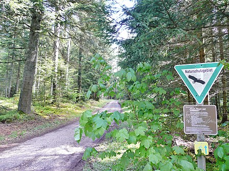 Naturschutzgebiet Hesel , Brand und Kohlmisse panoramio (4)