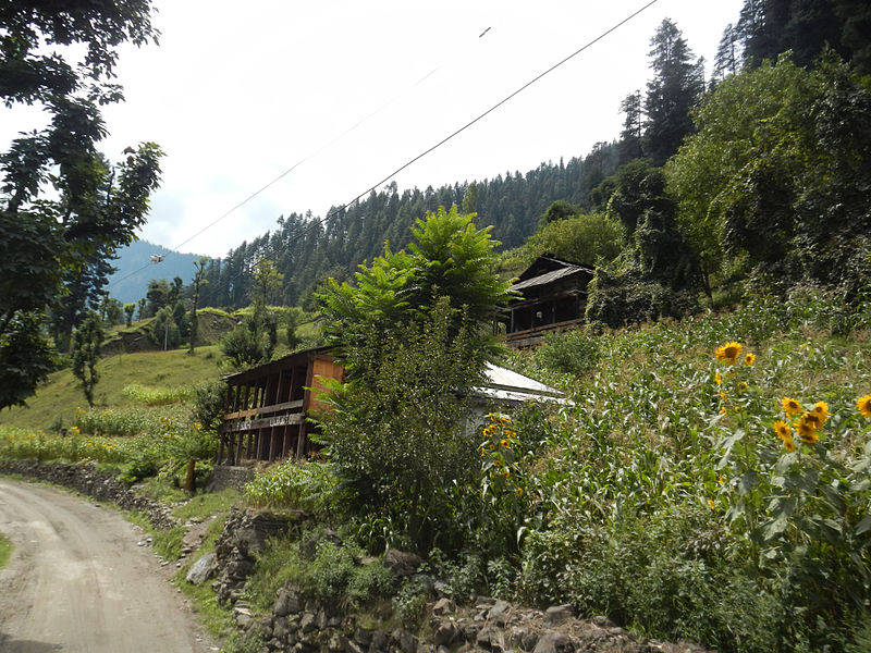 File:Neelum Valley 19.JPG