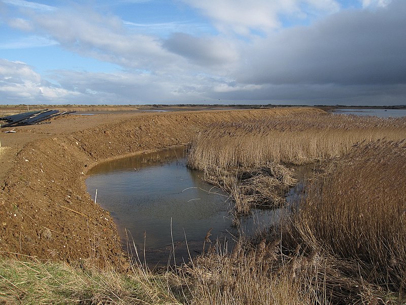 File:New sea wall at Titchwell RSPB reserve - geograph.org.uk - 1714769.jpg