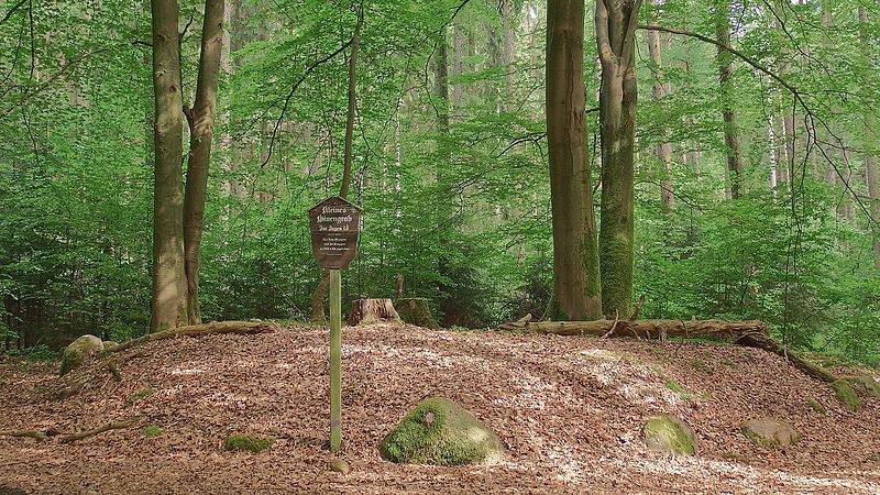 File:Niedersachsen, Landkreis Harburg, Kleines Hünengrab Klecker Wald, südlich der K 54 Naturdenkmal ND WL 00003.jpg