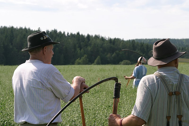 File:Niittokisat iskelmaniityt 2009 kiuruvesi.JPG