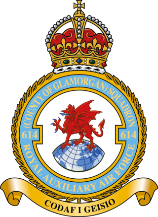 <span class="mw-page-title-main">No. 614 Squadron RAF</span> Military unit