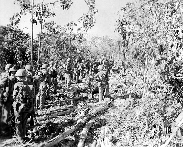 File:No caption. Peleliu. September, 1944. (53399865109).jpg