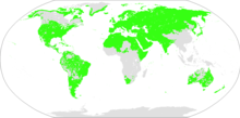 התפוצה העולמית של השפות במאקרו-משפחה הנוסטרטית, על פי סרגיי סטארוסטין