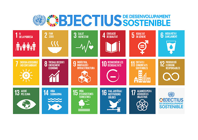  Cartell amb les icones dels 17 ODS (Font: Respon.cat)