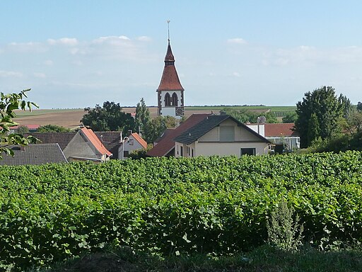 Obrigheim(Pfalz) 01