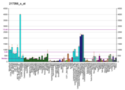 PBB GE PGK1 217356 s at fs.png