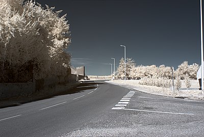 Route de Saint-Jean-de-Losne où a été enregistrée la vitesse de 151 km/h (photographie infrarouge).