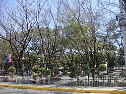 Capitol Mini-Forest and Children's Park.