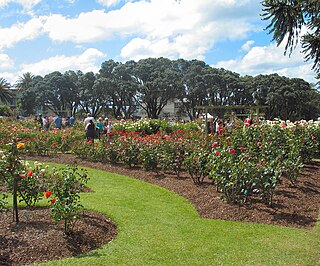 <span class="mw-page-title-main">Parnell Rose Gardens</span>