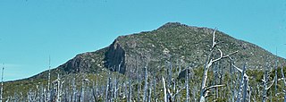 <span class="mw-page-title-main">Mount Sedgwick (Tasmania)</span> Mountain in Tasmania, Australia