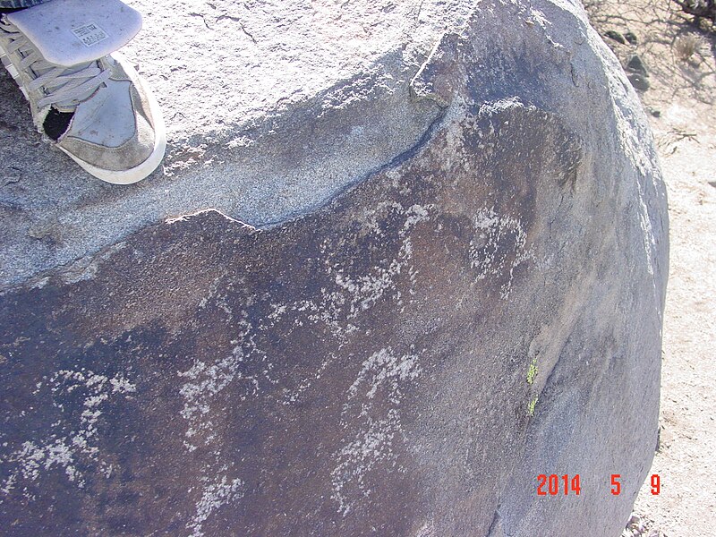 File:Petroglyphs9.JPG