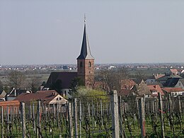 Forst an der Weinstraße - Vue