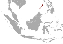 Distribución del pangolín filipino