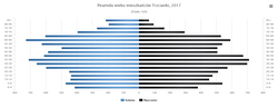 Thumbnail for File:Piramida wieku mieszkańców Trzcianki, 2017.png