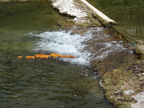 Français : Filets de poissons panés remontant la rivière Albarine pour aller se reproduire au dessus de la cascade de la Charabotte, dans le Bugey Libre (France)