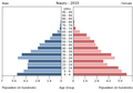 Українська: Віково-статева піраміда населення Науру за 2015 рік. Вона дає наочне уявлення про вікову і статеву структура населення країни, може слугувати джерелом інформації про політичну і соціальну стабільність, економічний розвиток. Блакитними кольорами ліворуч, у вигляді горизонтальних смуг показані вікові групи (по 5 років кожна) чоловічої статі, праворуч рожевими — жіночої. Наймолодші вікові групи — внизу, найстаріші — вгорі. Форма піраміди поступово еволюціонує з плином часу під впливом чинників народжуваності, смертності і світової міграції.
