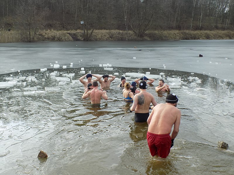 File:Poznańskie morsy w zbiornikach wodnych Czapnicy - luty 2018.jpg