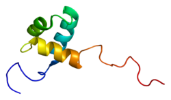 Ақуыз CDC5L PDB 2dim.png