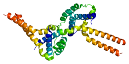 Protéine PAFAH1B1 PDB 1uuj.png