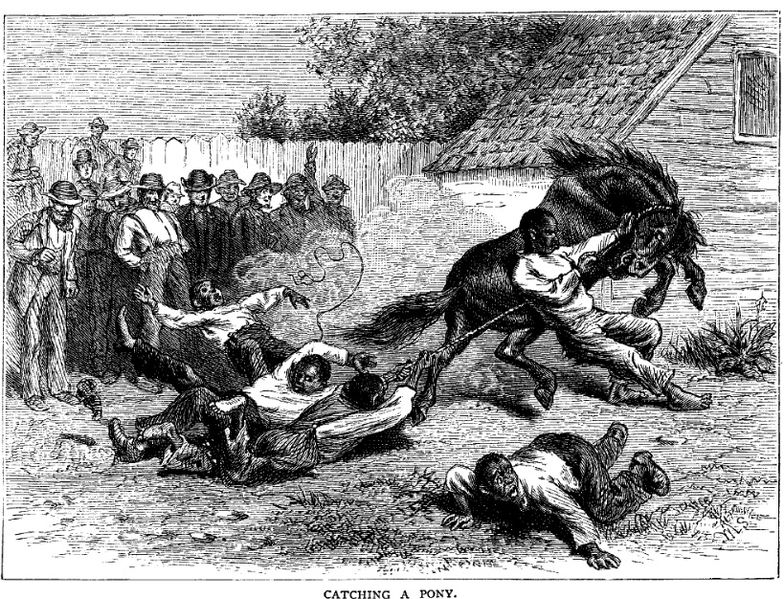 File:Pyle Catching a Pony.jpg