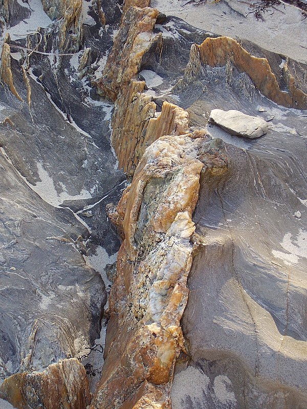 A quartz vein, prominent from the surrounding weathered rock at Cape Jervis, South Australia