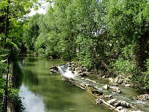 RO BV Ghimbășel river in Cristian (2).jpg