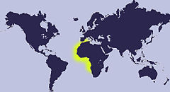 Distribution Repartition-cypraea-achatidea.jpg