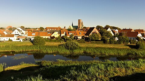 Ribe