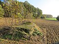 image=https://commons.wikimedia.org/wiki/File:Ringstand_Nettetal_Bocholt.jpg