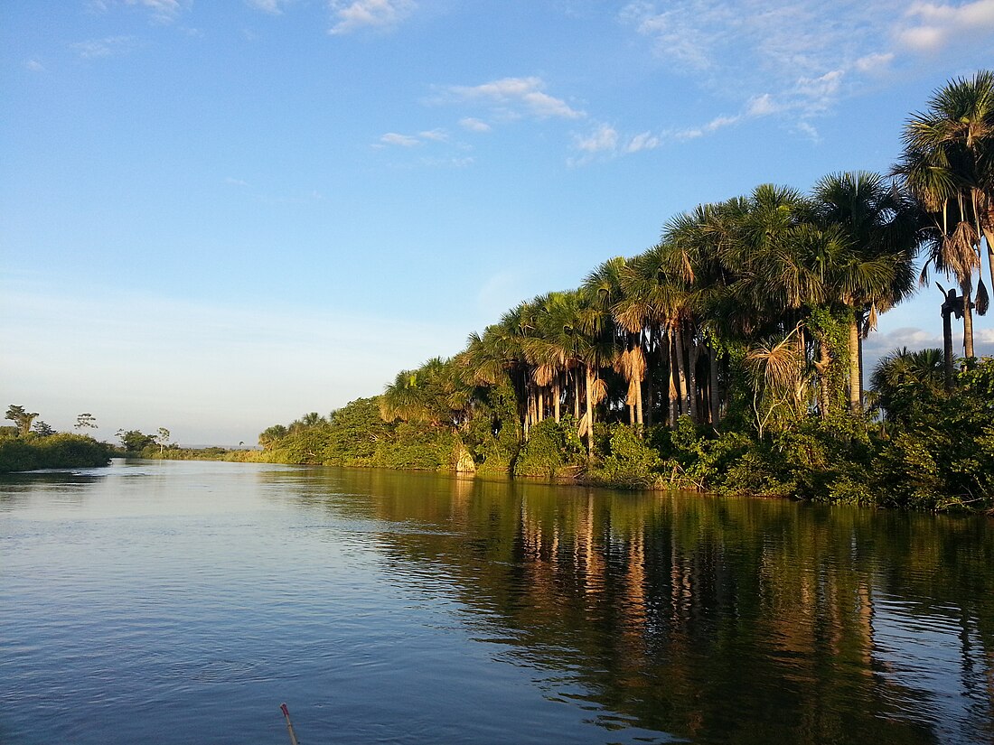 Rio Itiquira (suba sa Brasil, Mato Grosso)